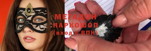 индика Анива