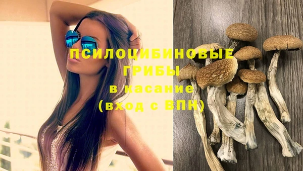 мдма Богородск