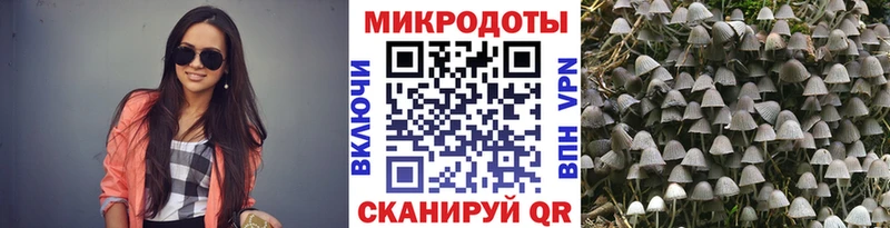 Галлюциногенные грибы Psilocybine cubensis  цены   hydra маркетплейс  Бокситогорск 